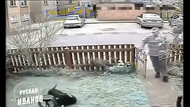 Собаки атакуют #7 Жесткие кадры нападения собак на людей и домашних животных Декабрь 2020