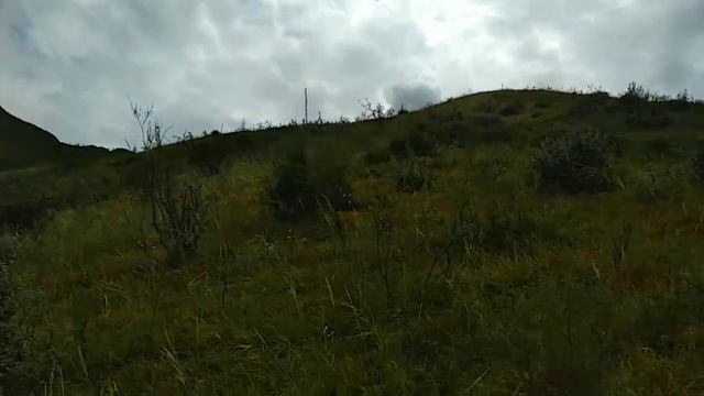 Путешествую на Ниве. По Горному Алтаю.Обратная дорога.