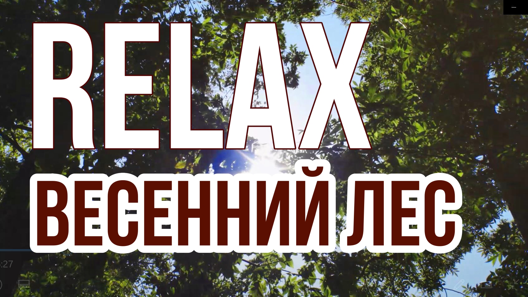 RELAX: МУЗЫКА ДЛЯ СНА. ЗВУКИ ПРИРОДЫ — ВЕСЕННИЙ ЛЕС
