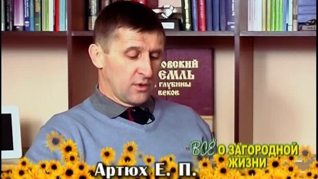 Можно ли продавать доли в доме, как квартиры?
