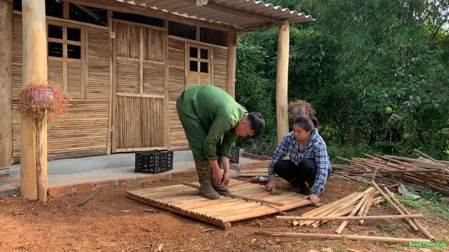 The Unexpected Gift: My Wife's Surprise Visit Led to 3 Adorable Puppies! Build a dog house together