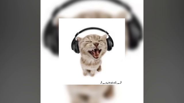 CAT МЯУ МЯУ МЯУ- OST