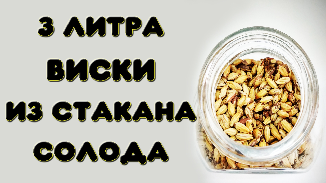 3 ЛИТРА ВИСКИ ИЗ СТАКАНА СОЛОДА. Имитация виски из сахарного самогона. Мацерат из солода Пилснер