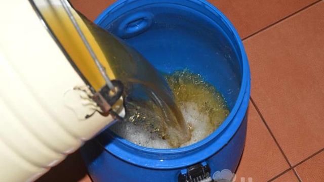 Медовуха в домашних условиях без хмеля