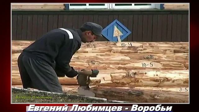 Евгений Любимцев - Воробьи.mp4