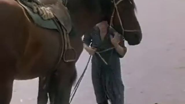 Блиндажи той войны - к_ф _Вторая весна_ Булат Окуджава