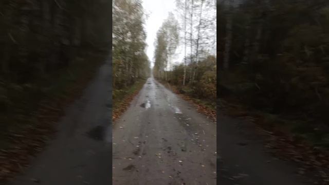 Красота !!