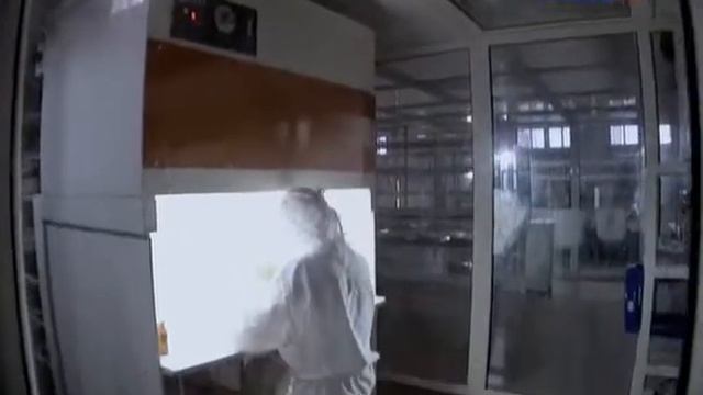 Наука 2 0 Грибы