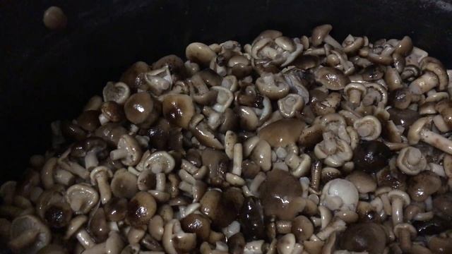 МАРИНОВАННЫЕ ОПЯТА НА ЗИМУ САМЫЙ ВКУСНЫЙ РЕЦЕПТ