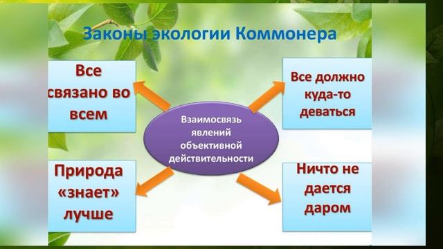 Экологический урок «Земля - наш общий дом»