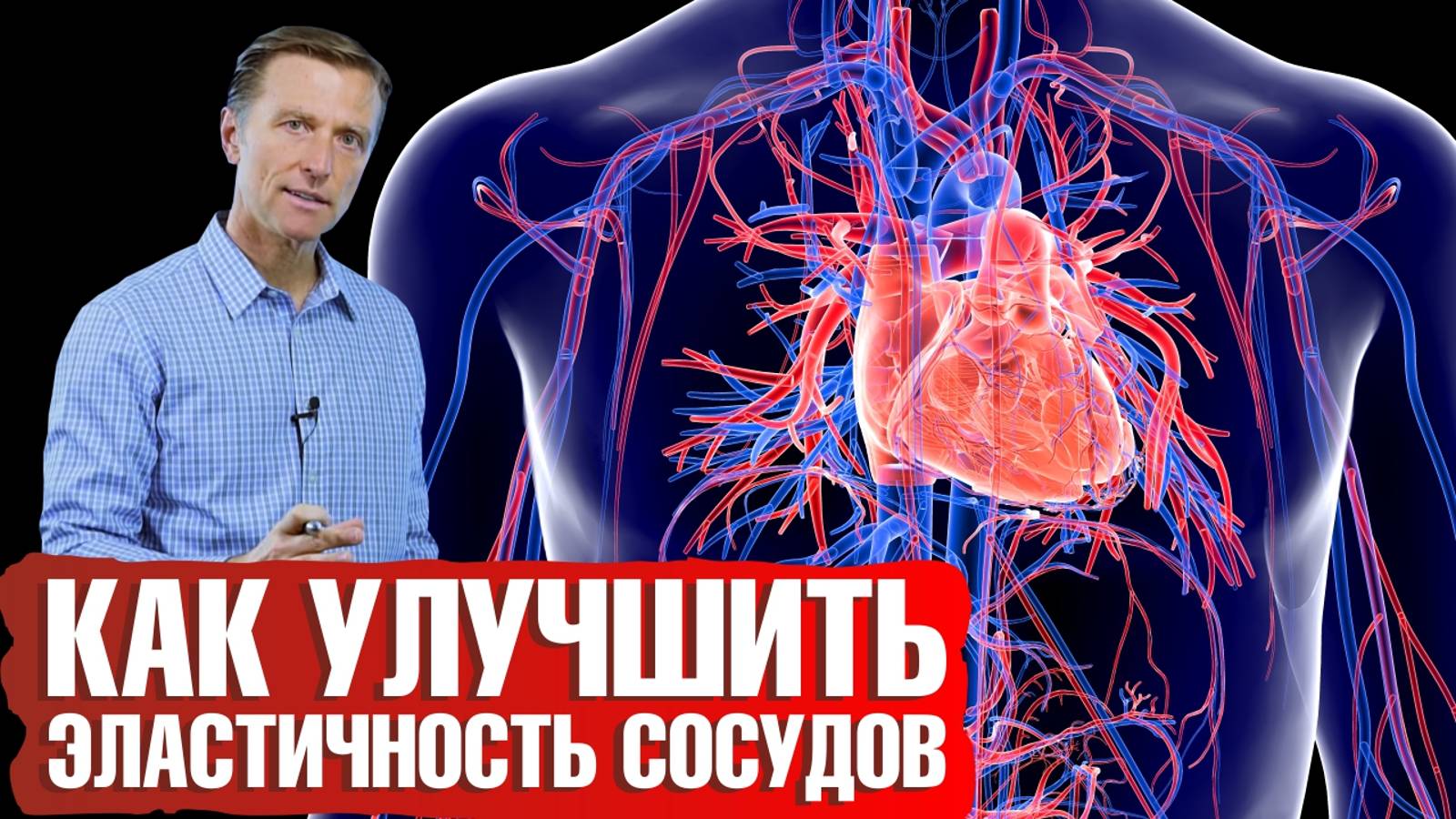 Жесткость артерий и витамин Д🧐