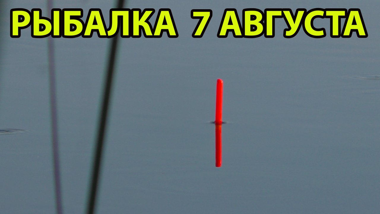 Рыбалка на поплавок 7 августа 2022.