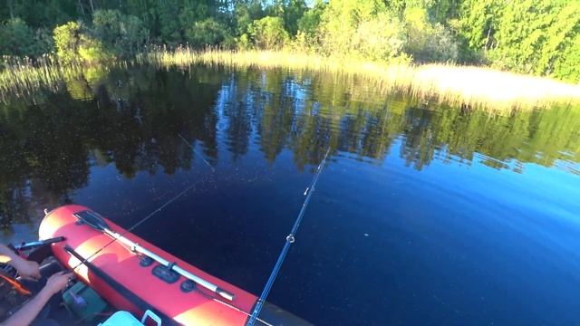 Достойная рыбалка на Рыбинском водохранилище. Ловля окуня на спиннинг. Рыбинское Водохранилище. РСД