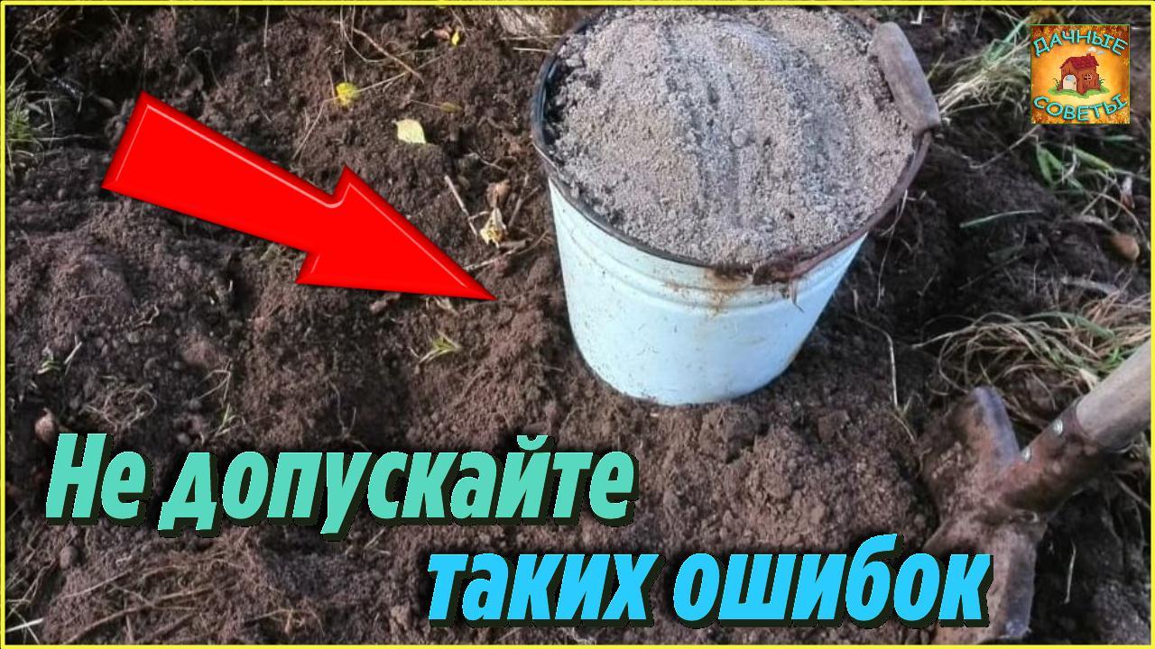 Главные Ошибки, которые совершают Огородники осенью в Саду и Огороде Делюсь своими Секретами