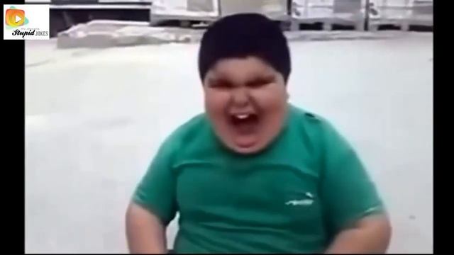 Приколы с животными и людьми. Funny video. Горилла TV