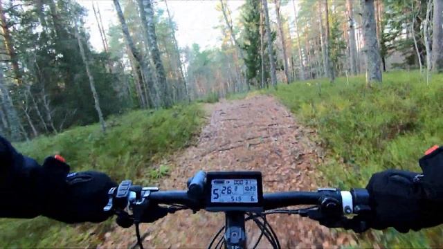 Как едет электровелосипед с редукторным мотор колесом MXUS 500 ватт
