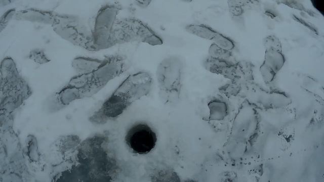 КАК ЛОВИТЬ СУДАКА ЗИМОЙ СО ЛЬДА. Рыбалка на судака зимой.