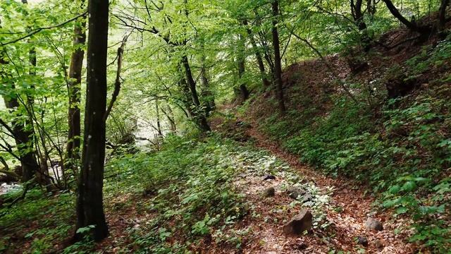 4K Video Ultra HD .Природа 4 К. Unbelievable Beauty