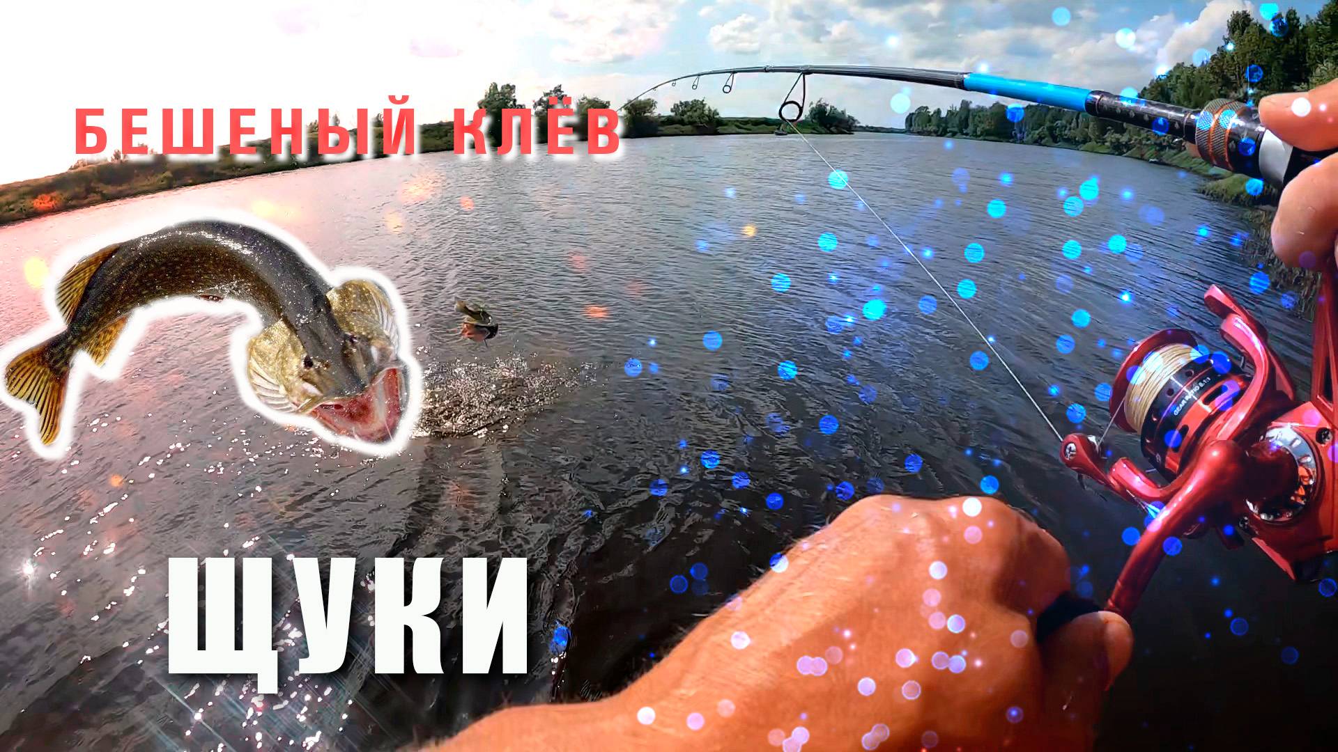 Бешеный клев ЩУКИ 27.07.24