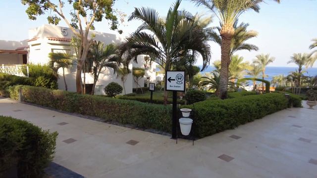Отель Sunrise Montemare Resort • Шарм-Эль-Шейх, Египет