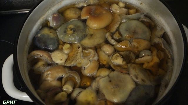 Сыроежки, маринованные на зиму