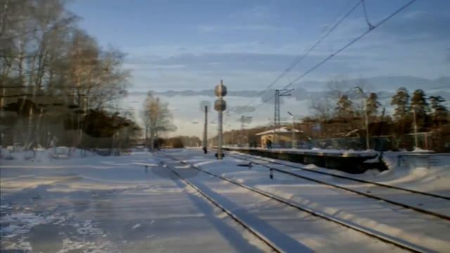 "Берёзы" (Михаил Гулько)
