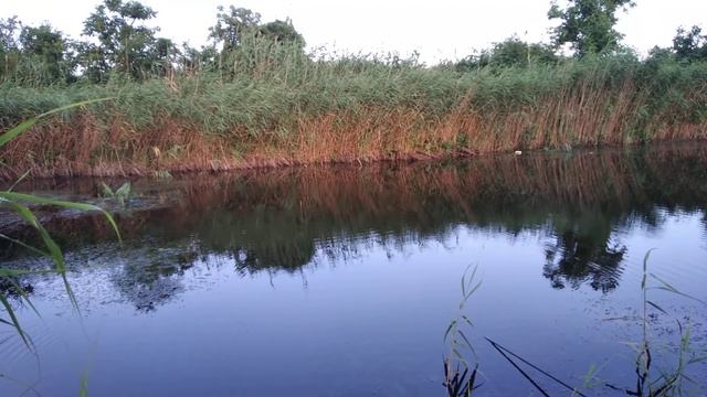 Рыбалка на супер чувствительную снасть. Методика Херабуна.
