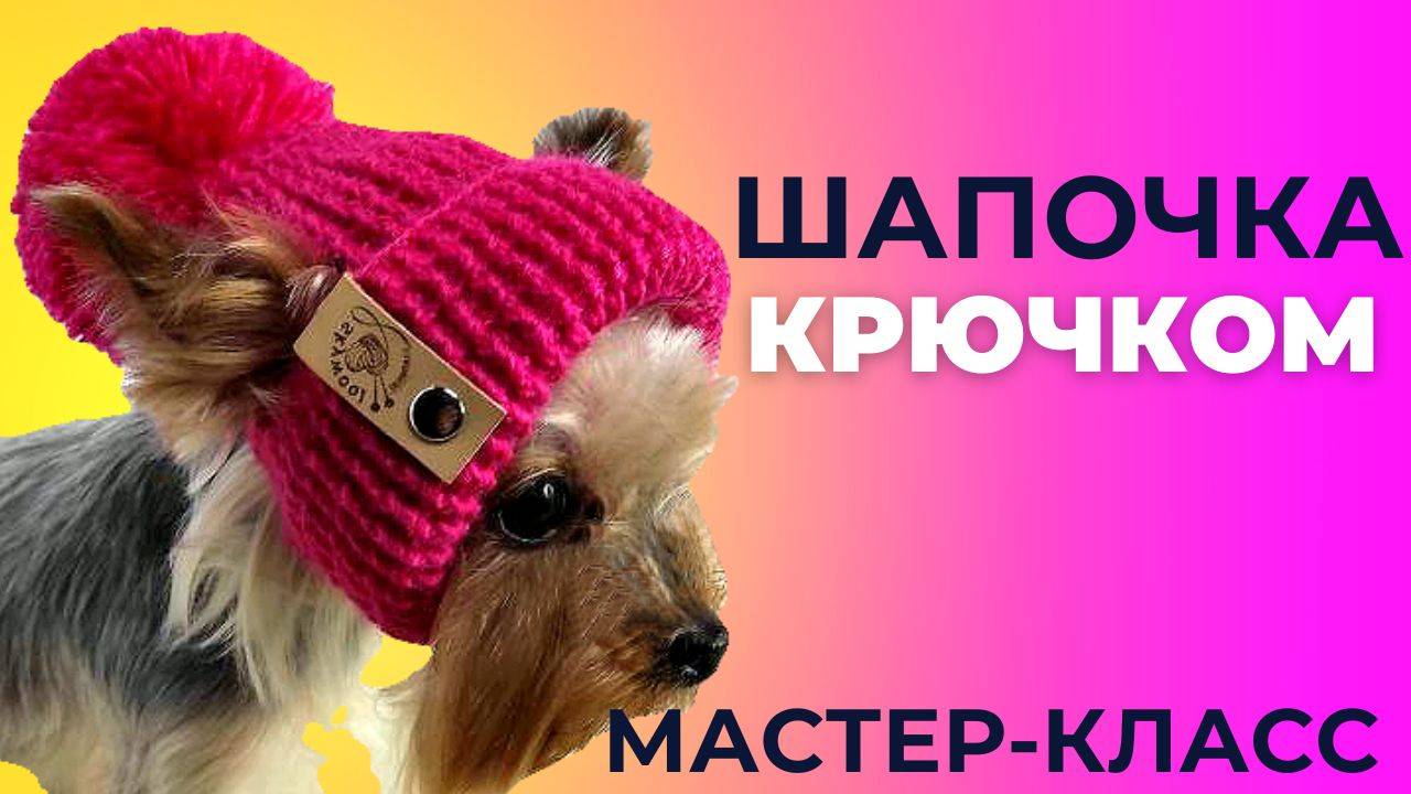 Шапочка для собаки крючком: Простой и подробный мастер-класс