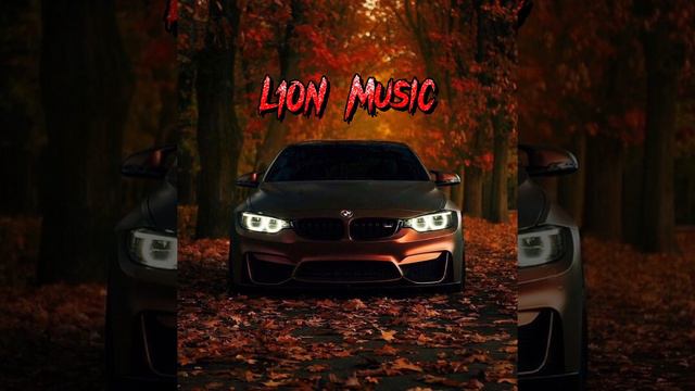 RAIKAHO - Летит патруль прямо за нами | L10N Music