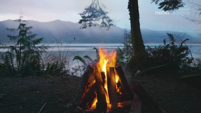 4K Костёр на берегу озера | Звуки природы, костра, огонь. Расслабление, уют, медитация, сон