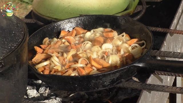 Дачная кухня. Рыжики в сметане