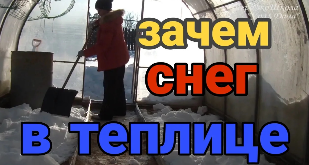 Зачем снег в теплице. Важные, зимние работы на огороде