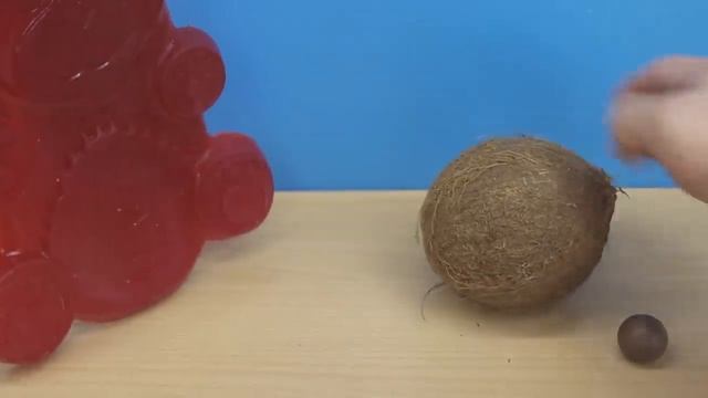 ЖЕЛЕЙНЫЙ ЧЕРВЯК ВАЛЕРА И ЖЕЛЕЙНЫЙ МЕДВЕДЬ ВАЛЕРА