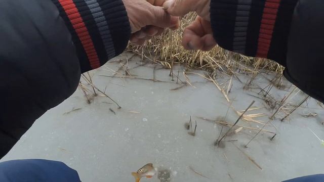 Зимняя рыбалка. Прекраснейший клёв окуня на мормышку. Рыбалка 2023 зима.