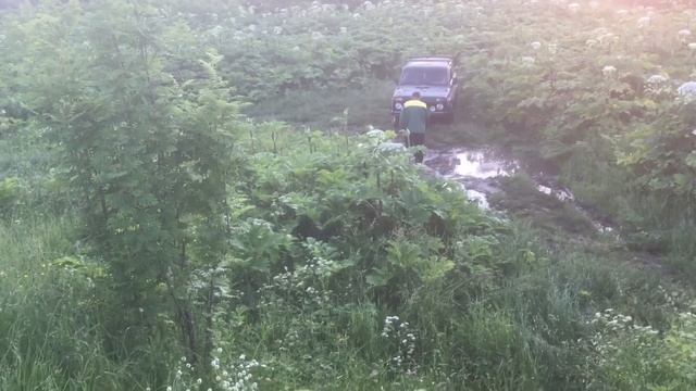 Пытаемся засадить Форд Кугу в грязи ( часть 2)#offroad#куга#нива#ховер