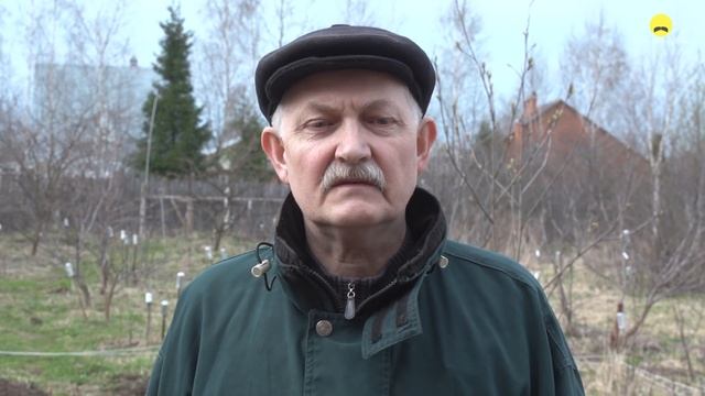 ☼ КАК ПРАВИЛЬНО ПОСАДИТЬ РЕДИСКУ! ✅ Узнай, как сажать редиску весной в открытый грунт #садоводство