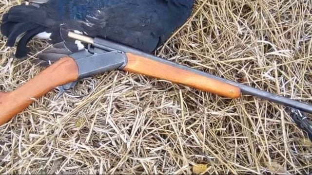 ? ТАКОГО РУЖЬЯ ТЫ НЕ КУПИШЬ! ОДНОСТВОЛКА ИЖ 32 КАЛИБРА!