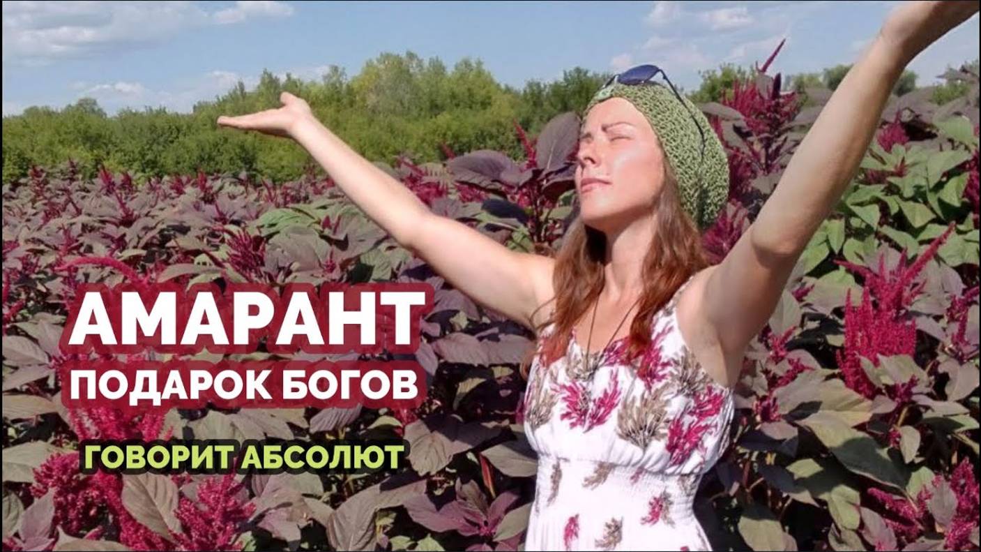 АМАРАНТ: ПОДАРОК БОГОВ