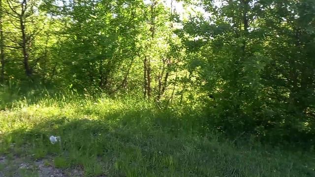 Краснодарский край 2022.mp4