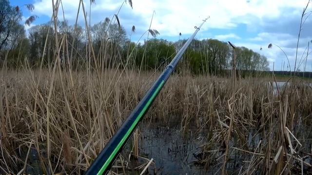 Карась под два кило на удочку с боковым кивком