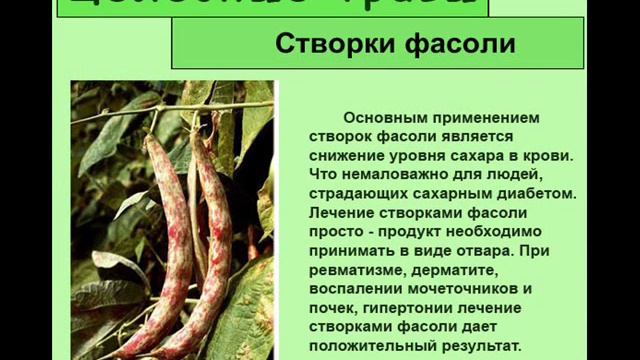 Створки фасоли