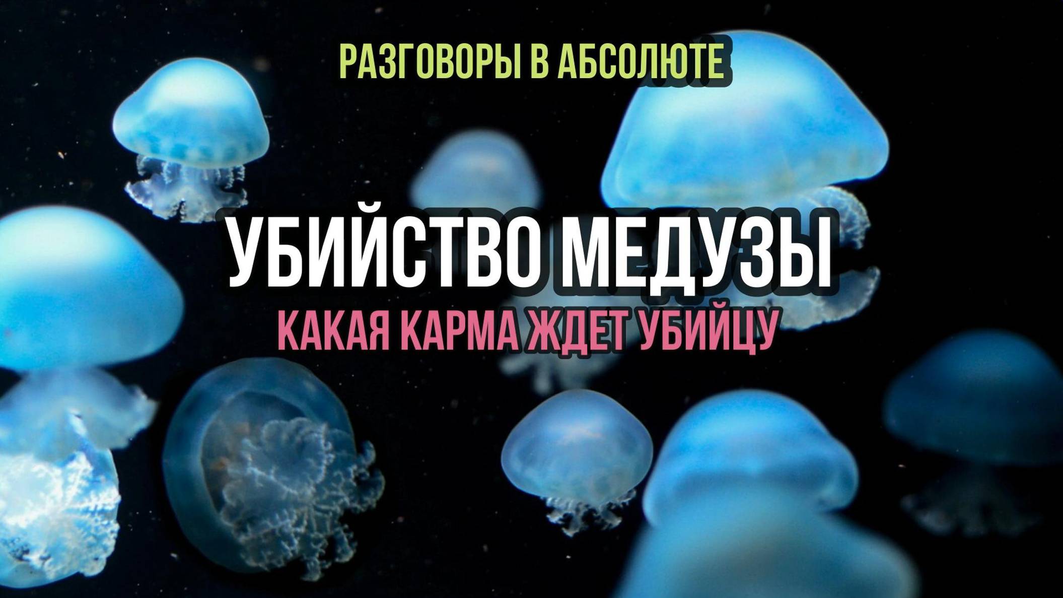 УБИЙСТВО МЕДУЗЫ: КАКАЯ КАРМА ЖДЕТ УБИЙЦУ