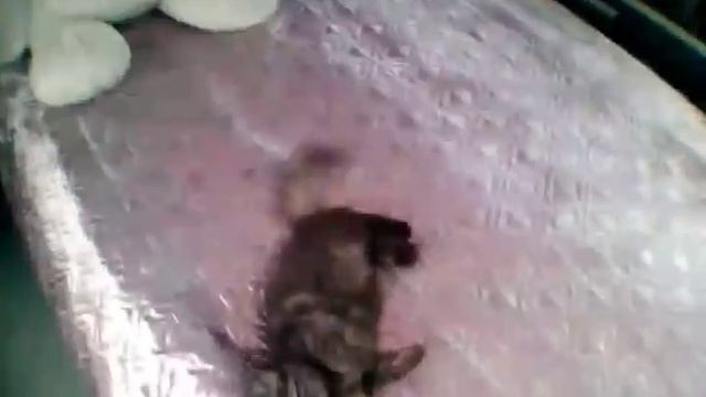 Постройка автодома из автобуса. Обзор.