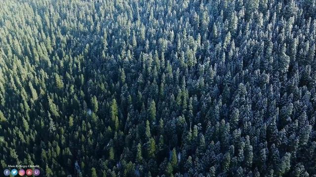 Самая красивая мелодия в мире! Успокаивающая музыка успокаивает нервную систему! Идет снег #музыка