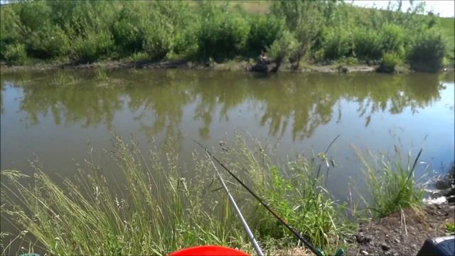 ХЕРАБУНА. ТЕСТ НОВОЙ УДОЧКИ И НОВЫХ НАСАДОК ДЛЯ ЛОВЛИ КАРАСЯ