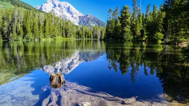 Обнаглевшая свекровь хочет поселить Истории из жизни Жизненные истории Аудио рассказы