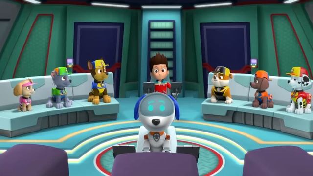 PAW Patrol - International Learn To Swim Day - Rescue Episode! - PAW Patrol Official & Friends
