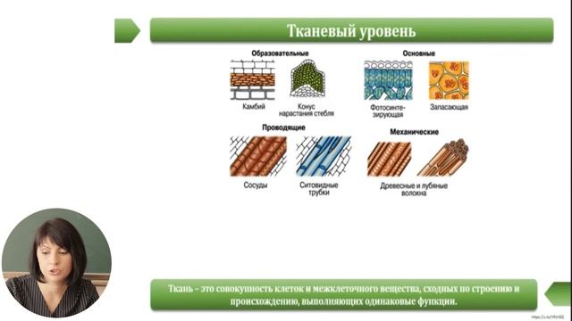 Биология, 7-й класс, Уровни организации растительных организмов