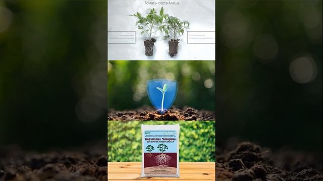 Кормилица Микориза для корней универсальная