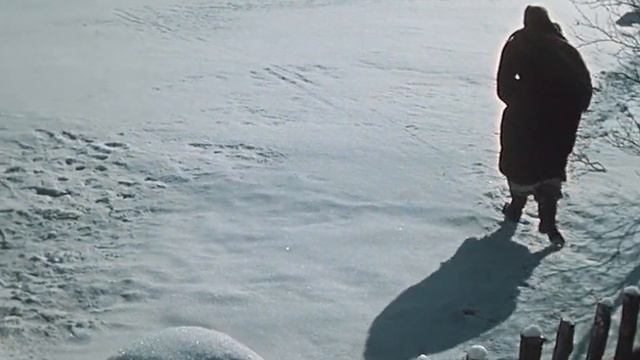 Вечера на хуторе близ Диканьки (1961)